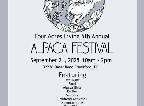 2025 Alpaca Festival