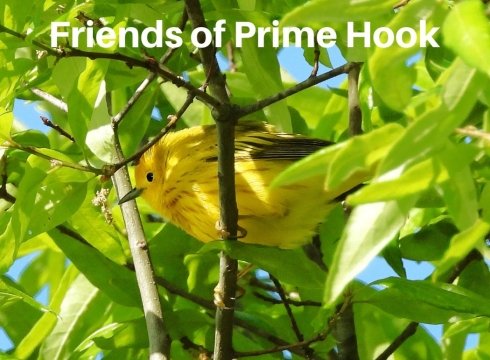 Walkabout & Discover Prime Hook