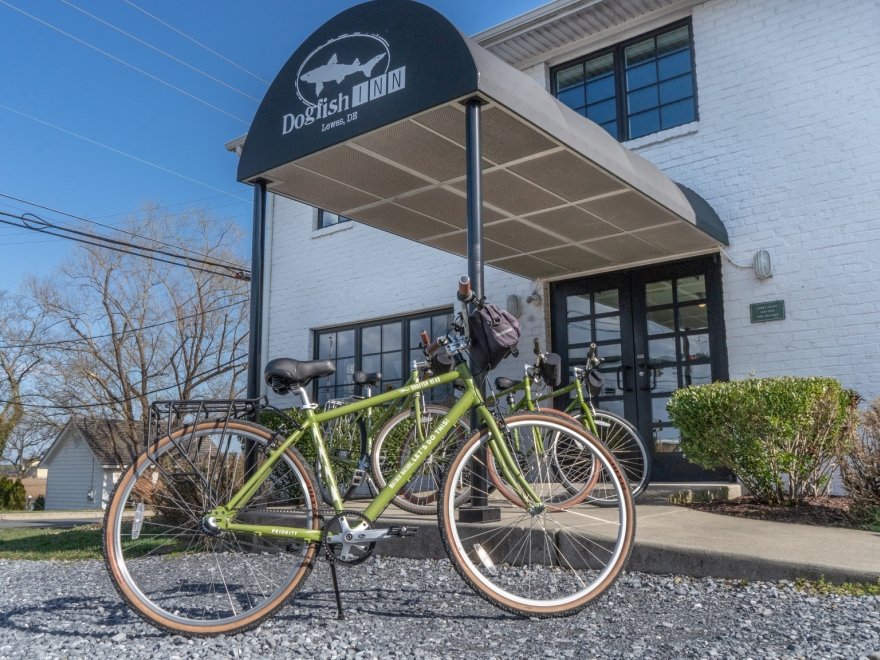 Dogfish Inn
