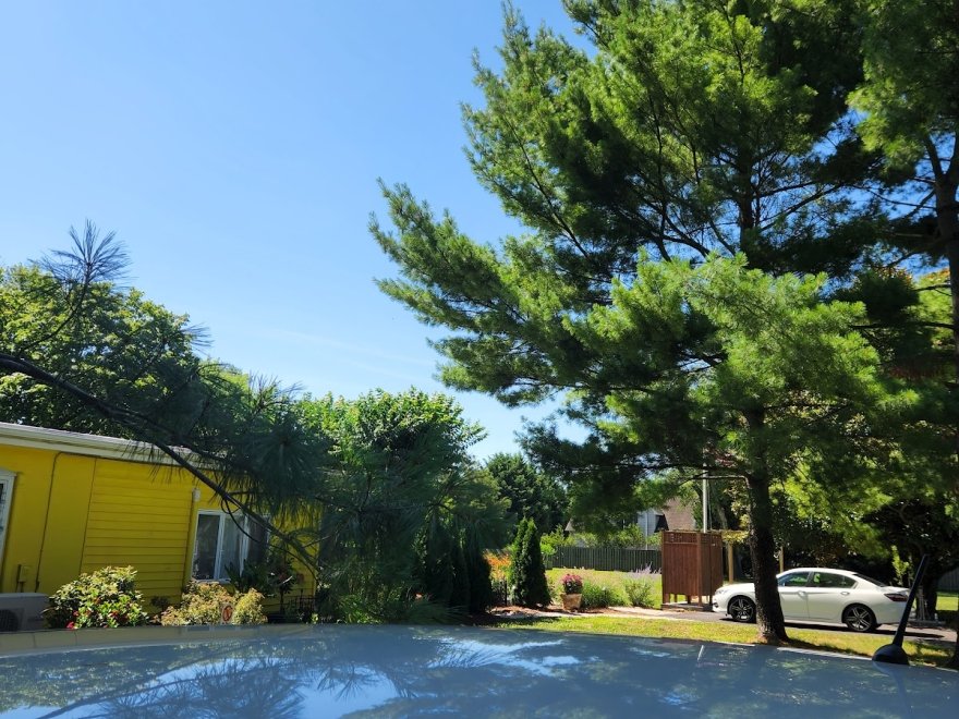 Homestead B&B at Rehoboth Beach