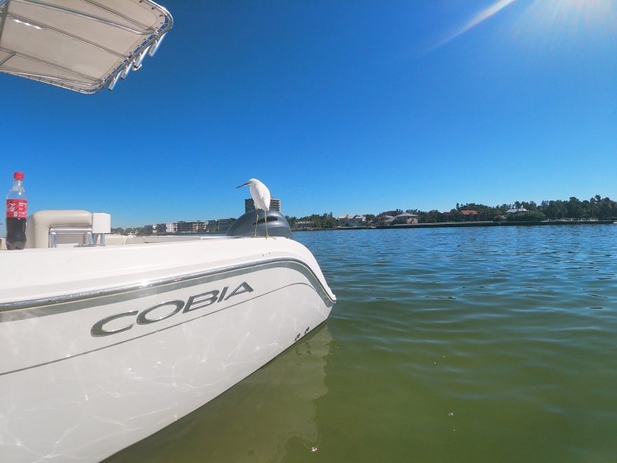 Freedom Boat Club